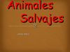 Animales Salvajes