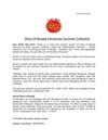 Slice Of Bengal Introduces Summer Collection