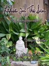 Ladies In The Sun -- Sample Issue