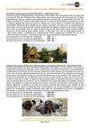 Chiang Mai : Excursions privées avec guide francophone
