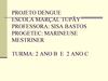 Projeto Dengue