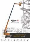 Haulotte Group - Management report 2012