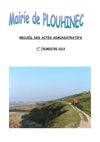 Recueil des actes administratifs 1er trimestre 2013