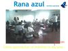 Revista Rana Azul