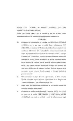 JUICIO EJECUTIVO juicio ejecutivo: