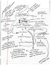 MindMaps_June12