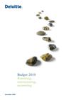 Deloitte | Budget 2010