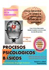 Procesos psicologicos basicos
