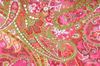 Minky paisley rose